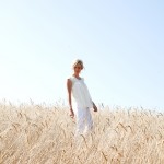 wheat-2
