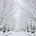 snow1