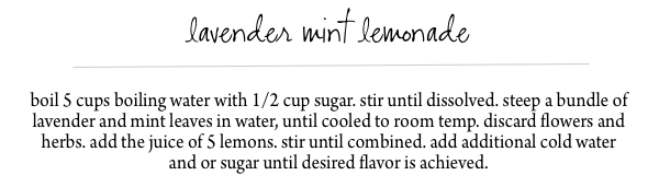 lavender mint lemonade recipe