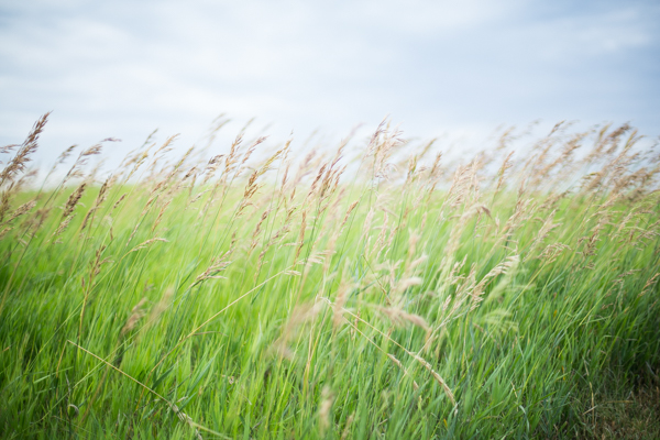 Neon Floral (18 of 20)