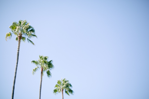 Manhattan Beach (1 of 5)