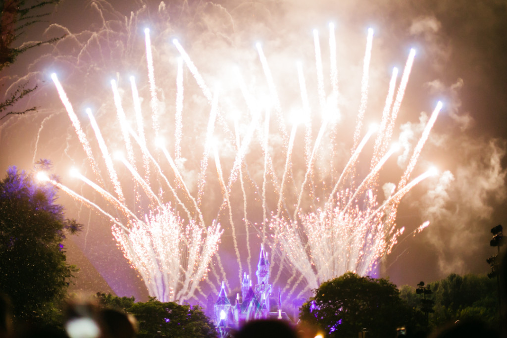 Disneyland (blog) (53 of 55)