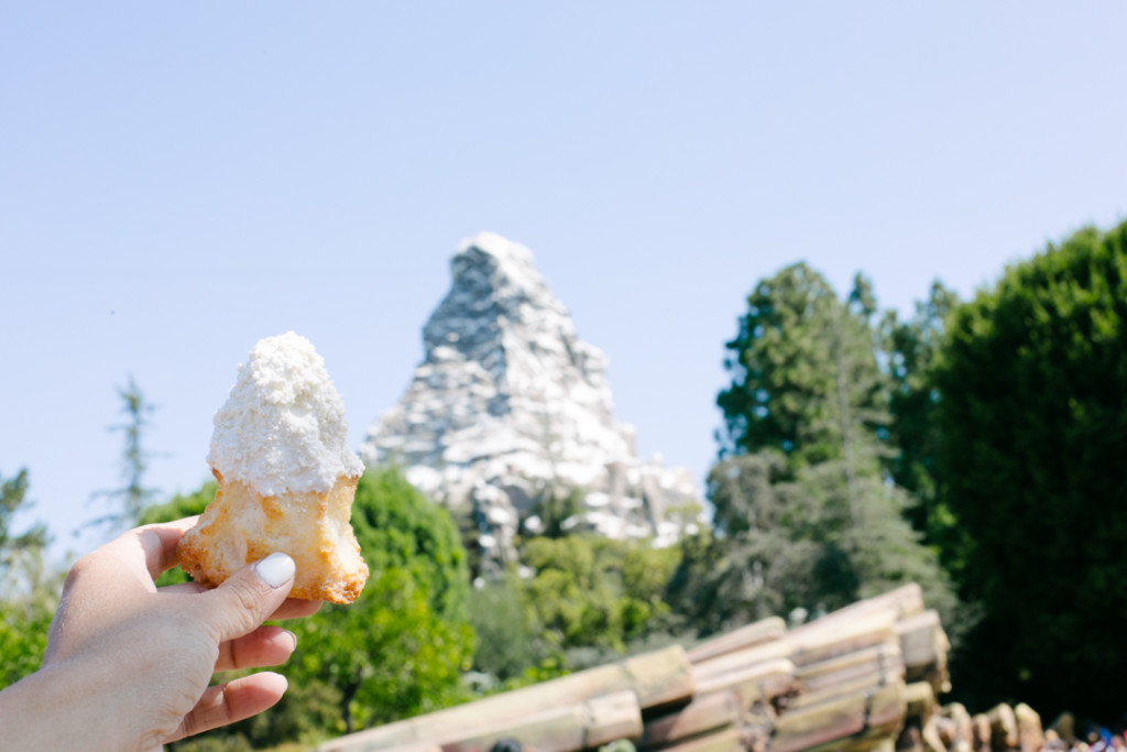 Disneyland (blog) (8 of 55)