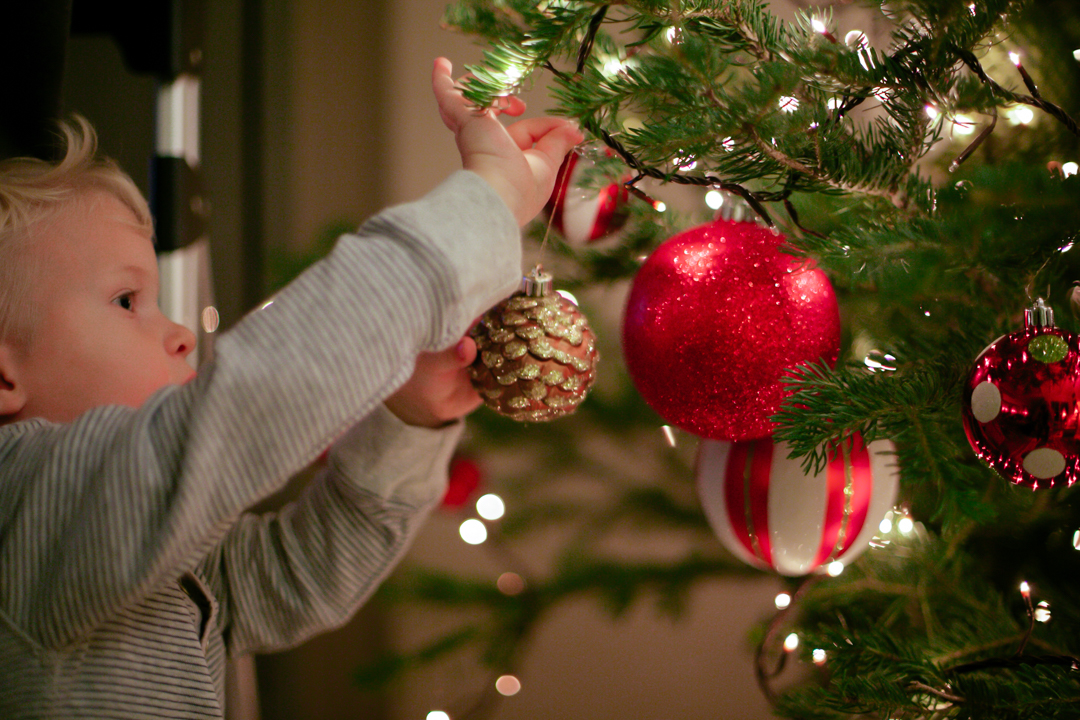 Thyme (blog) (12 of 14)