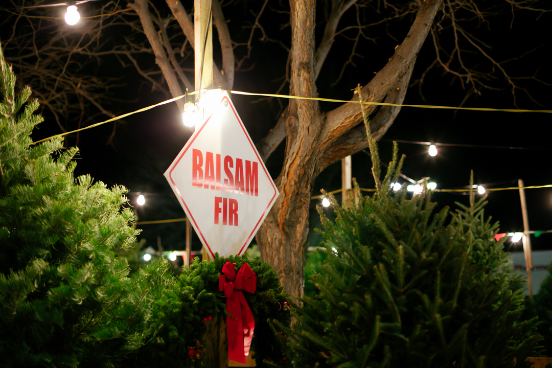 Thyme (blog) (3 of 14)