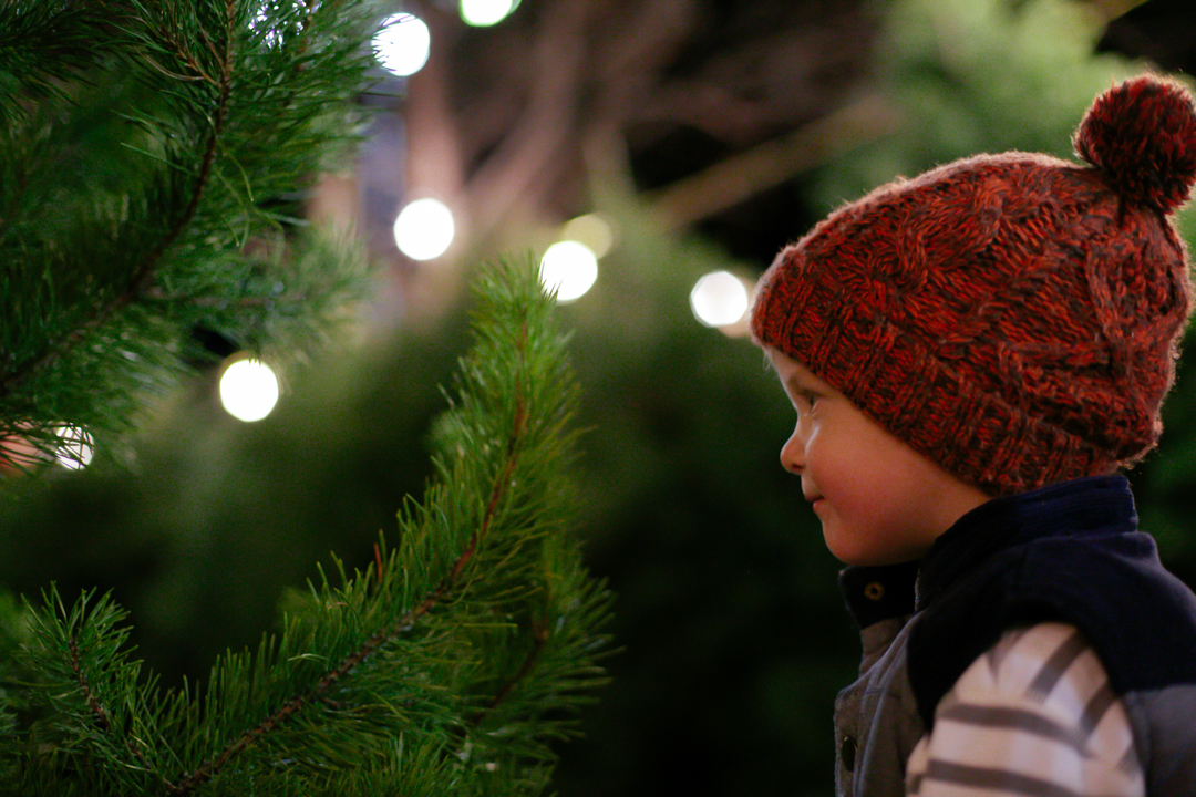 Thyme (blog) (7 of 14)