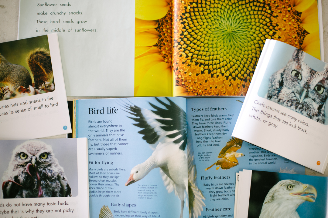 Orange Feeders (blog) (1 of 32)