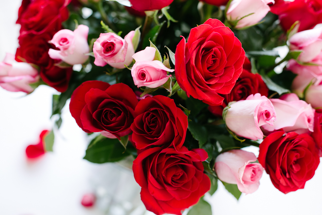 Birthday Roses (blog) (10 of 12)