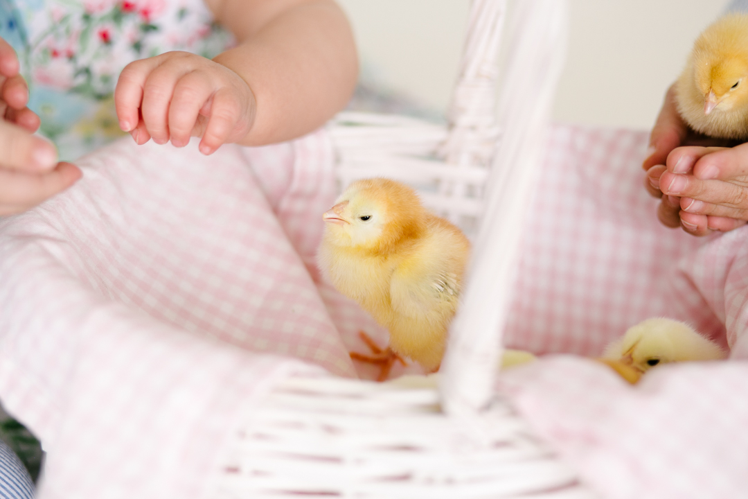 Easter (blog) (10 of 38)