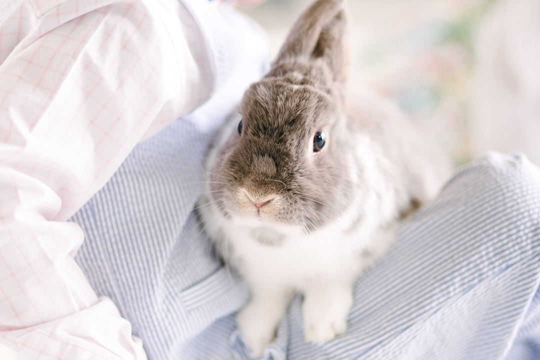 Easter (blog) (23 of 38)