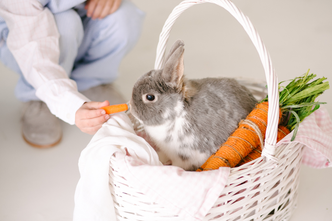 Easter (blog) (34 of 38)