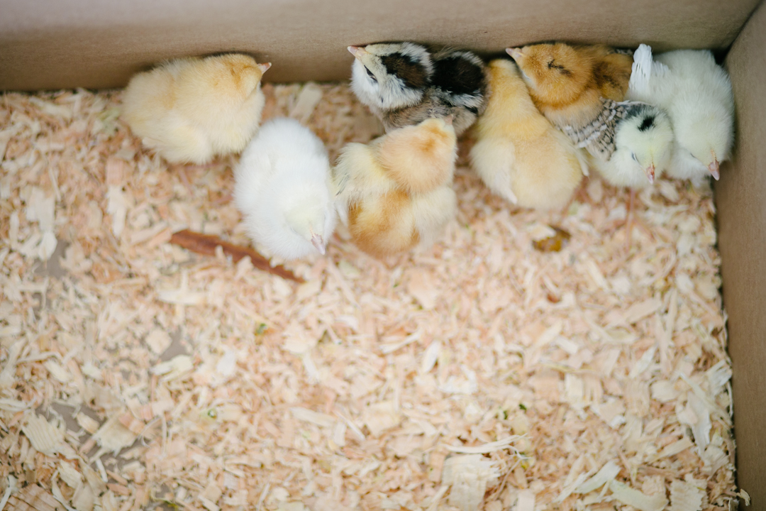 Easter (blog) (35 of 38)