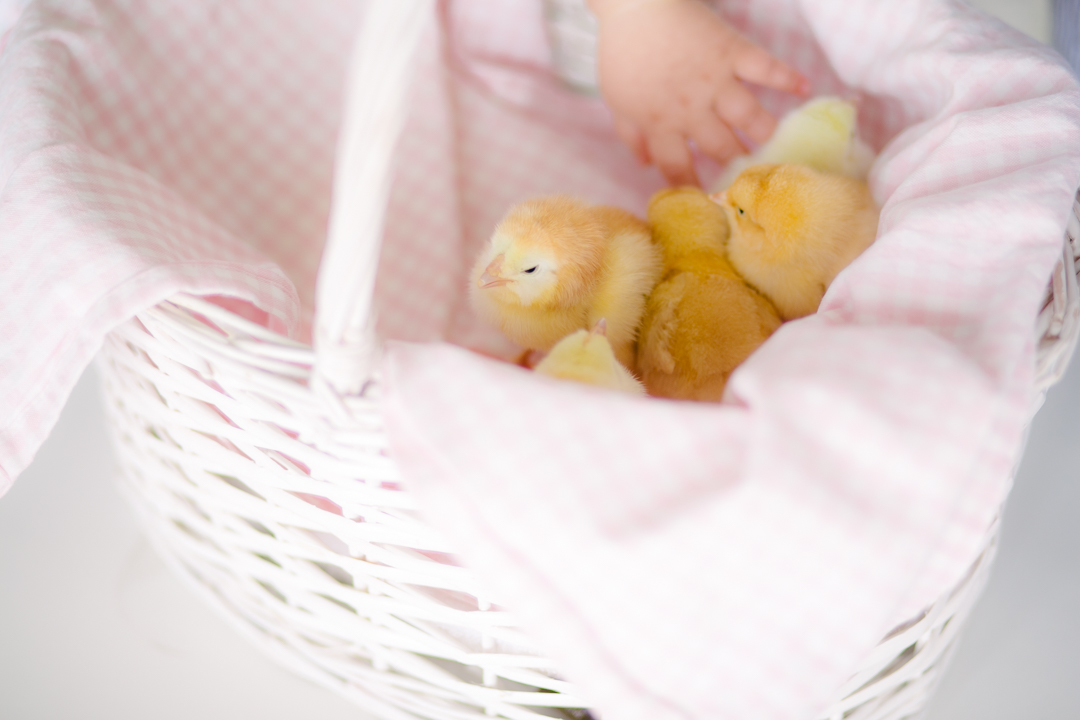 Easter (blog) (5 of 38)