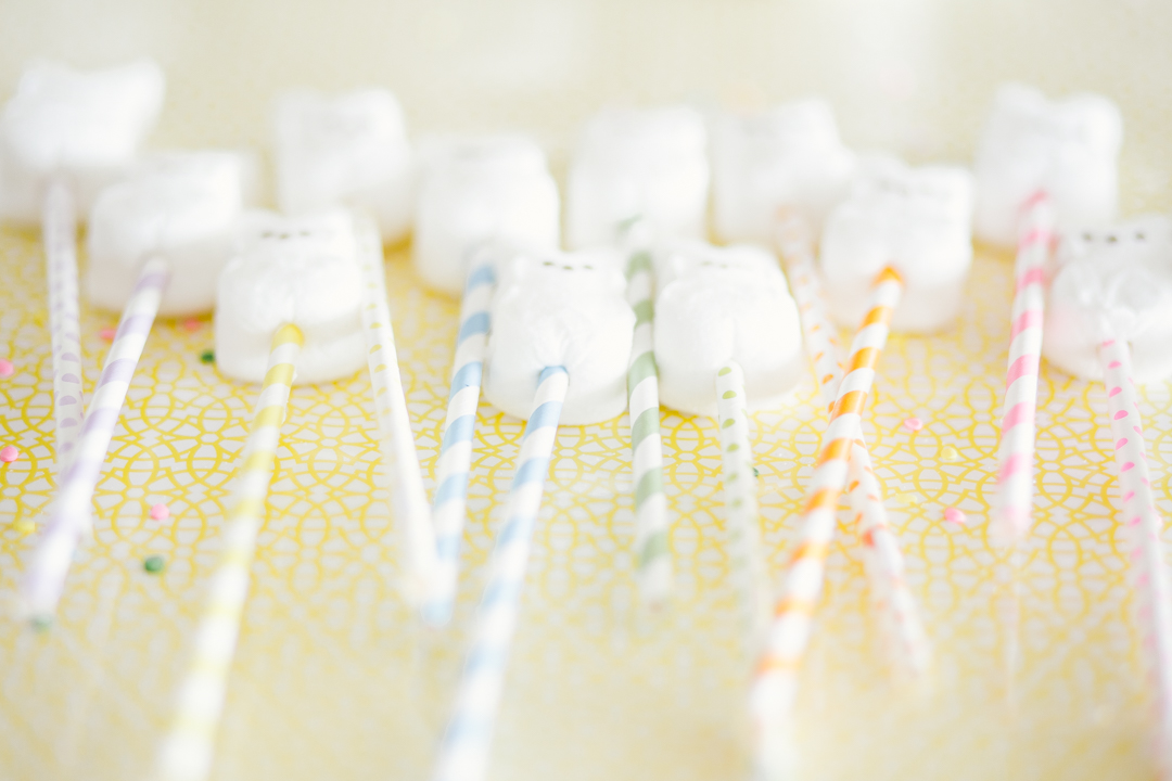 Peep Pops (blog) (37 of 57)