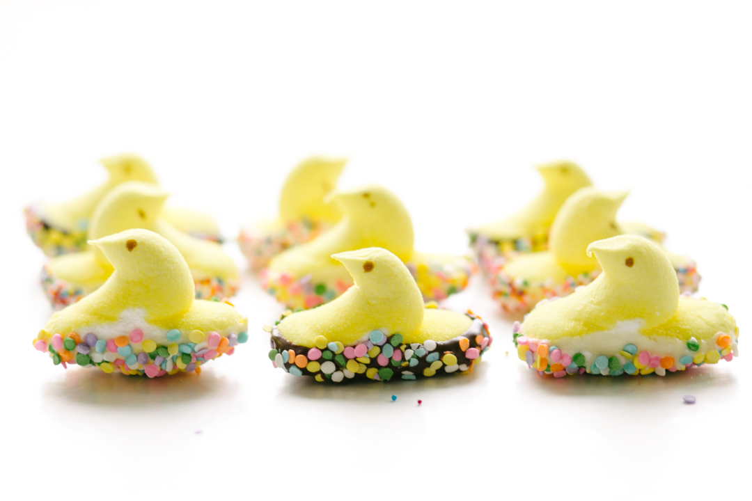 Peep Pops (blog) (55 of 57)