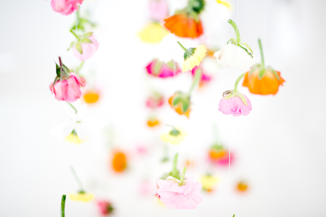 Babydoll 1st birthday (blog) (18 of 81)