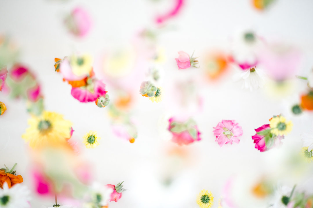 Babydoll 1st birthday (blog) (21 of 81)