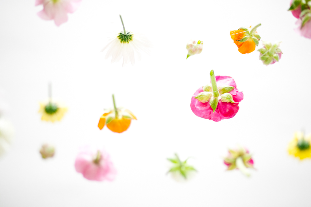 Babydoll 1st birthday (blog) (9 of 81)