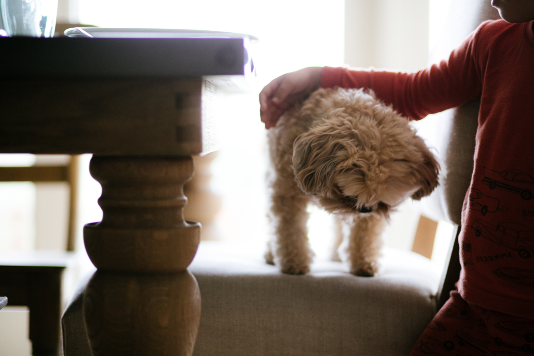 Blue Apron Chops (blog) (24 of 26)