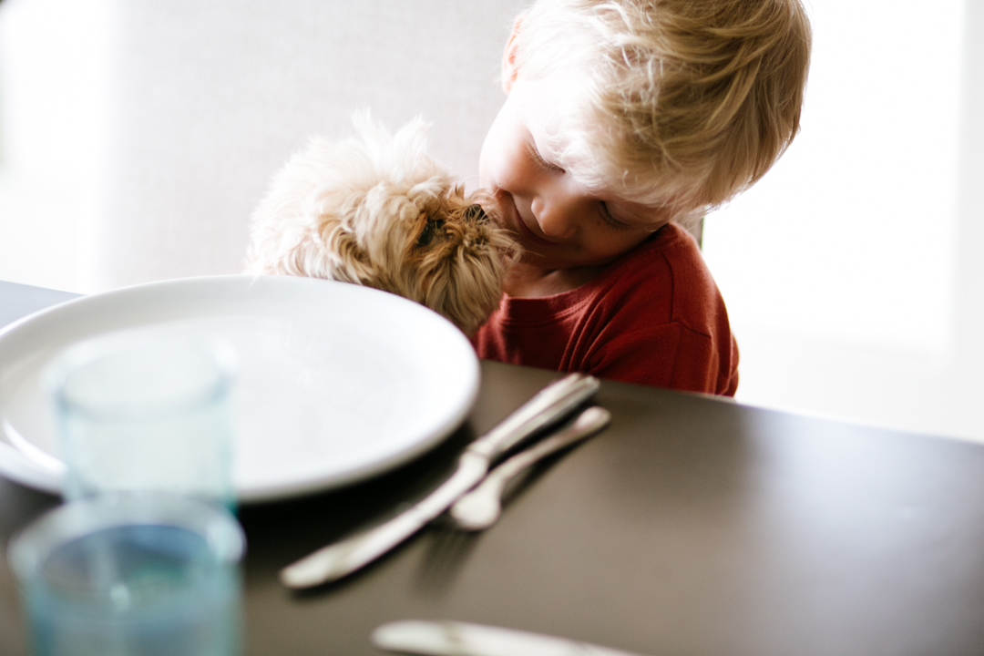 Blue Apron Chops (blog) (26 of 26)