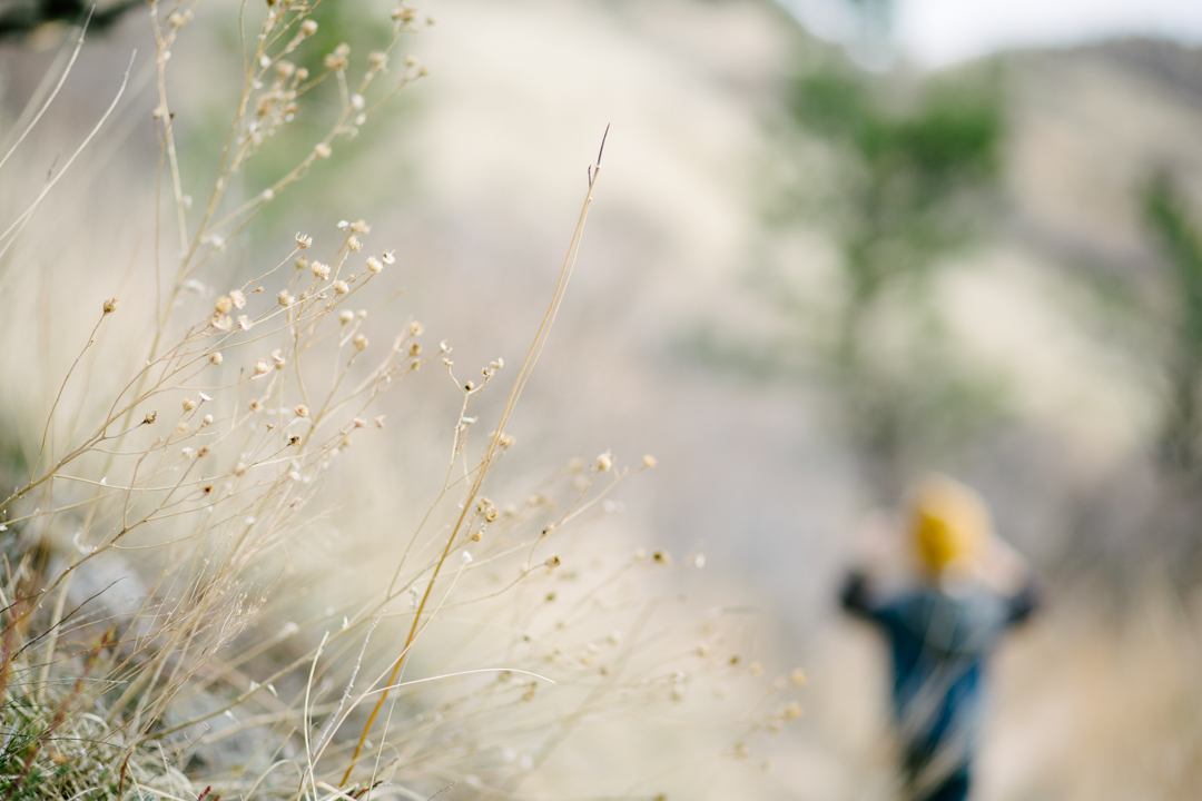 Sunday Climb (blog) (19 of 55)