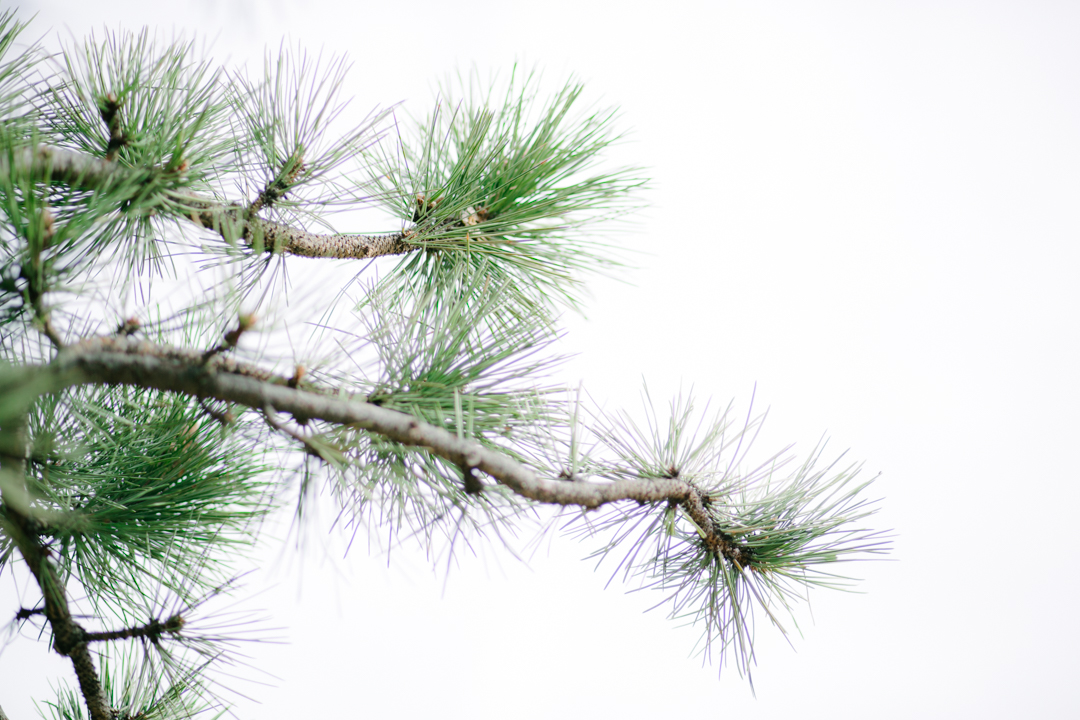 Sunday Climb (blog) (20 of 55)