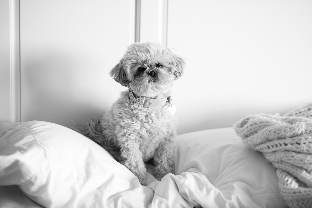 babe and bug snuggles (blog) (2 of 29)