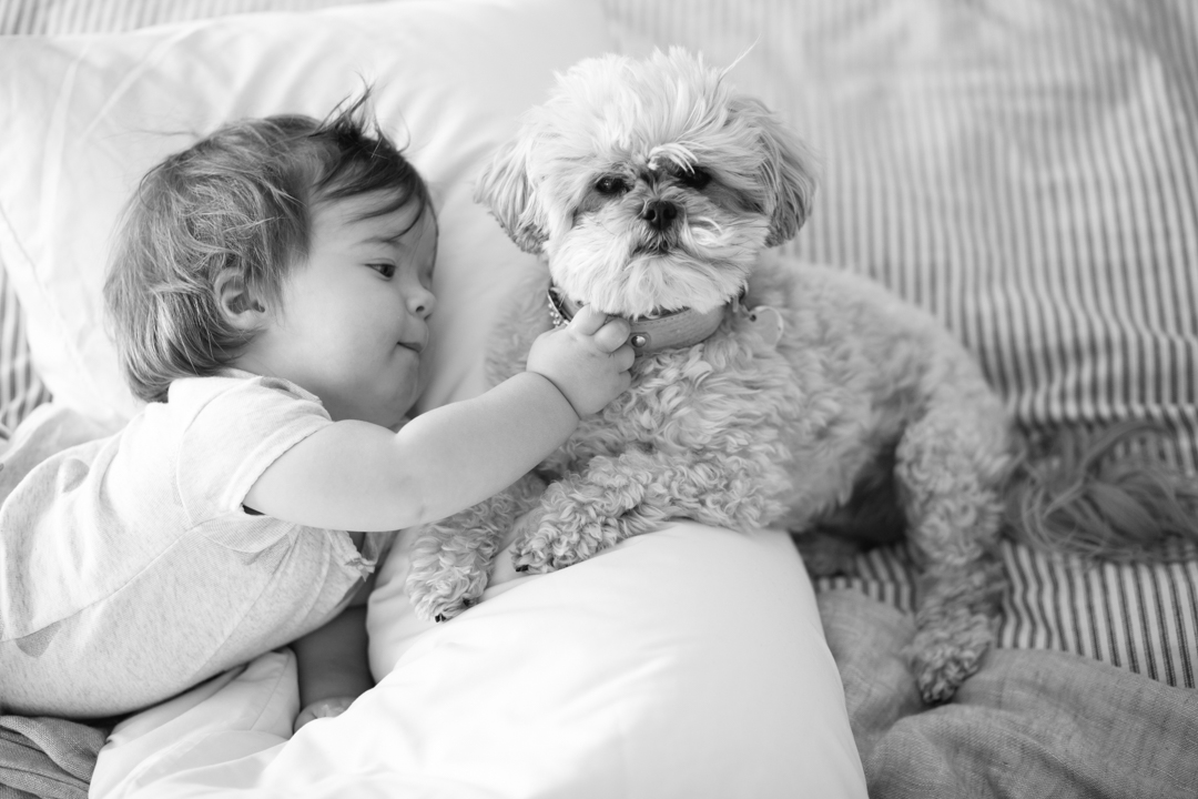 babe and bug snuggles (blog) (27 of 29)