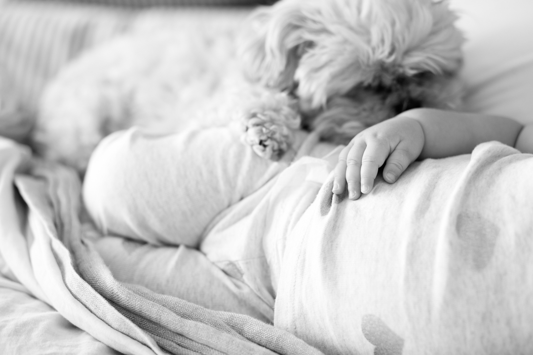 babe and bug snuggles (blog) (28 of 29)