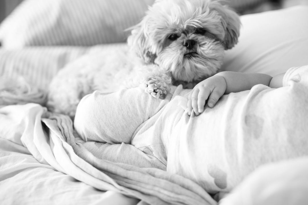 babe and bug snuggles (blog) (29 of 29)