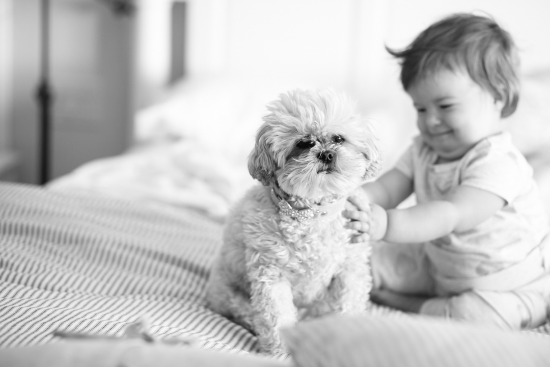 babe and bug snuggles (blog) (5 of 29)