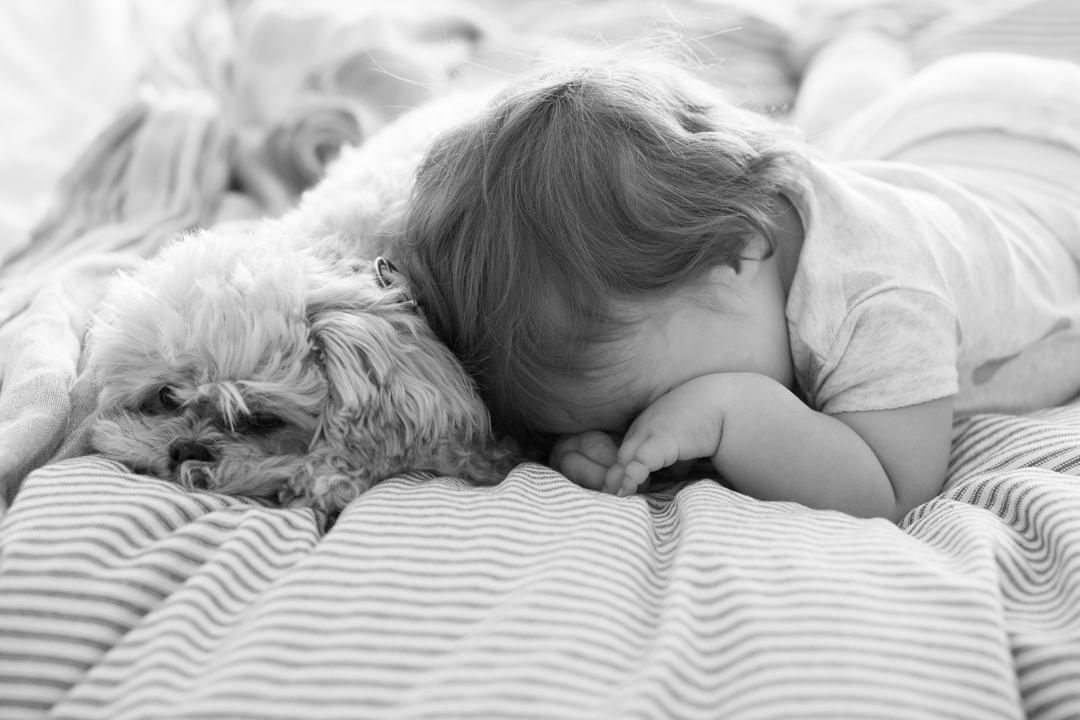 babe and bug snuggles (blog) (9 of 29)