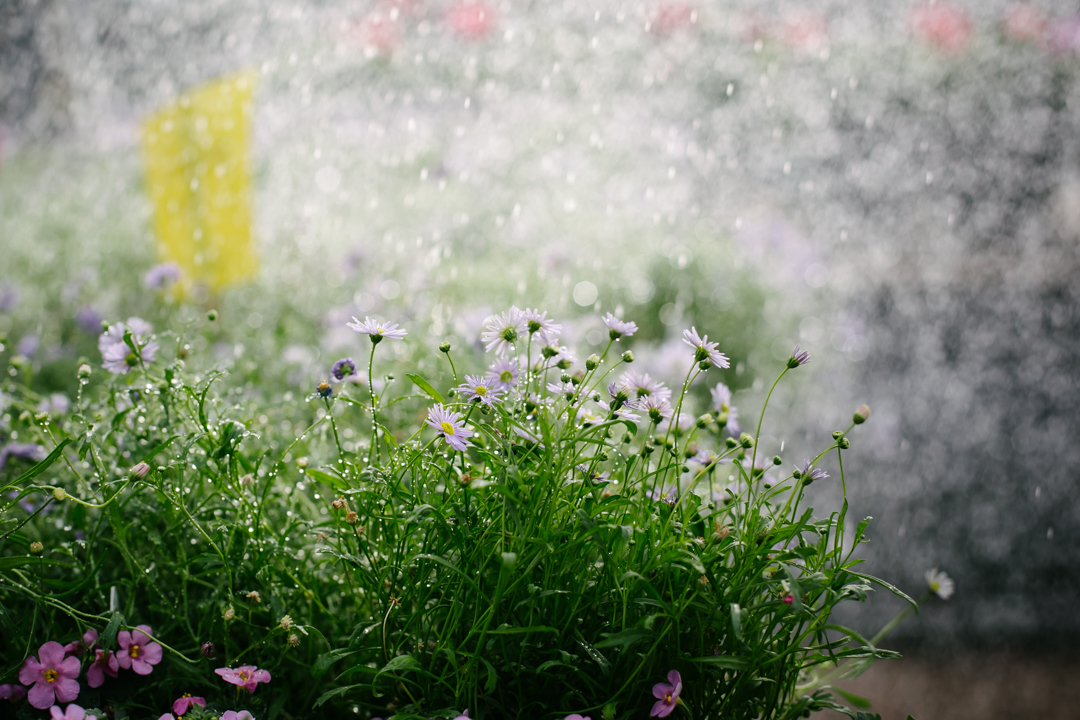 nursery (blog) (24 of 52)