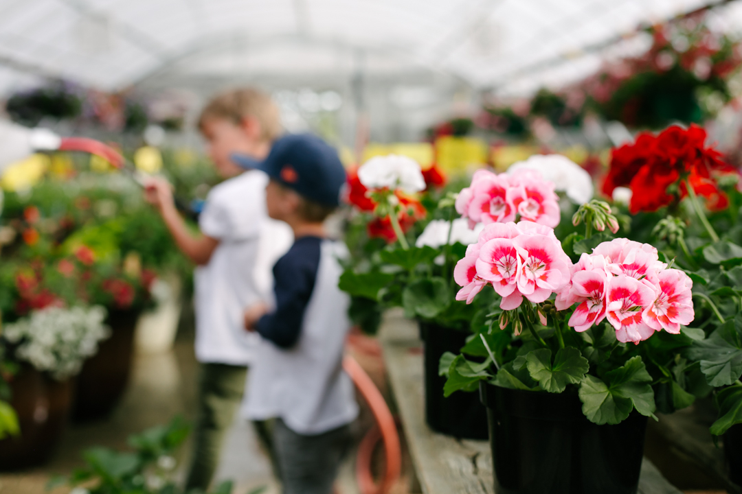 nursery (blog) (28 of 52)