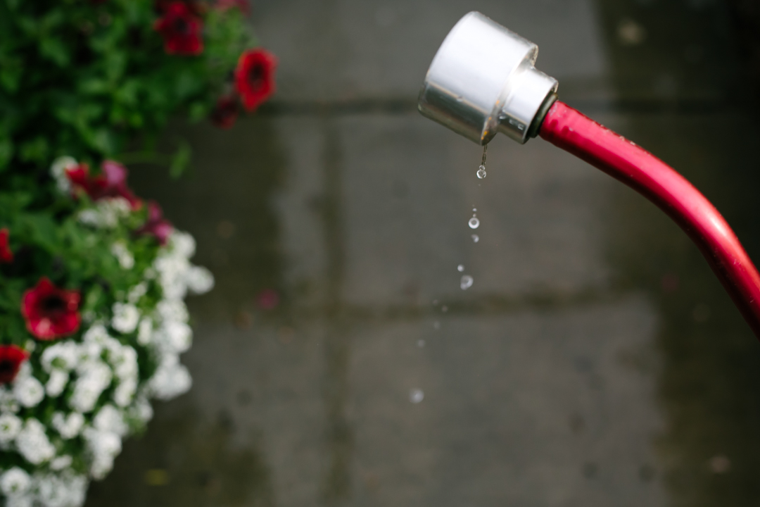 nursery (blog) (32 of 52)