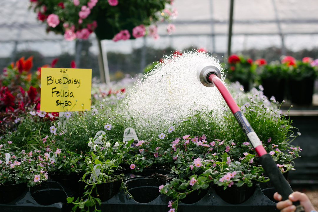 nursery (blog) (33 of 52)