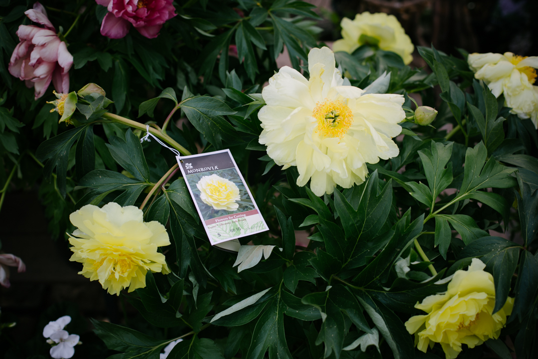 nursery (blog) (51 of 52)