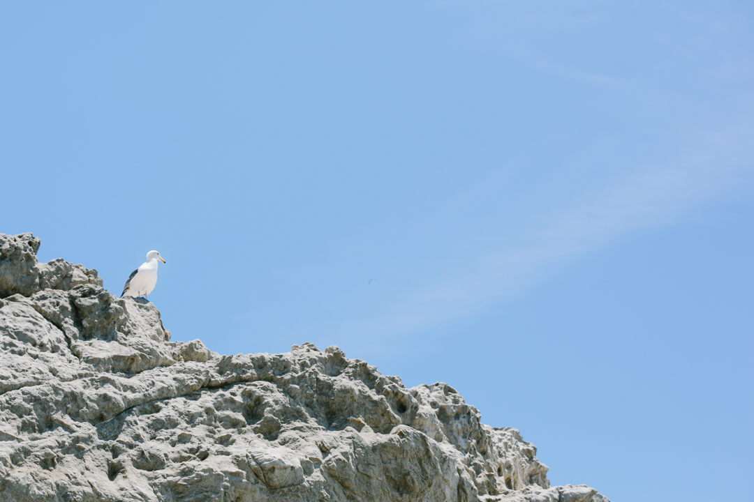 beach (blog) (35 of 60)