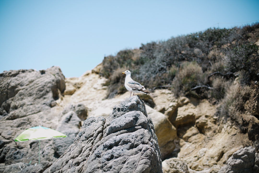 beach (blog) (46 of 60)