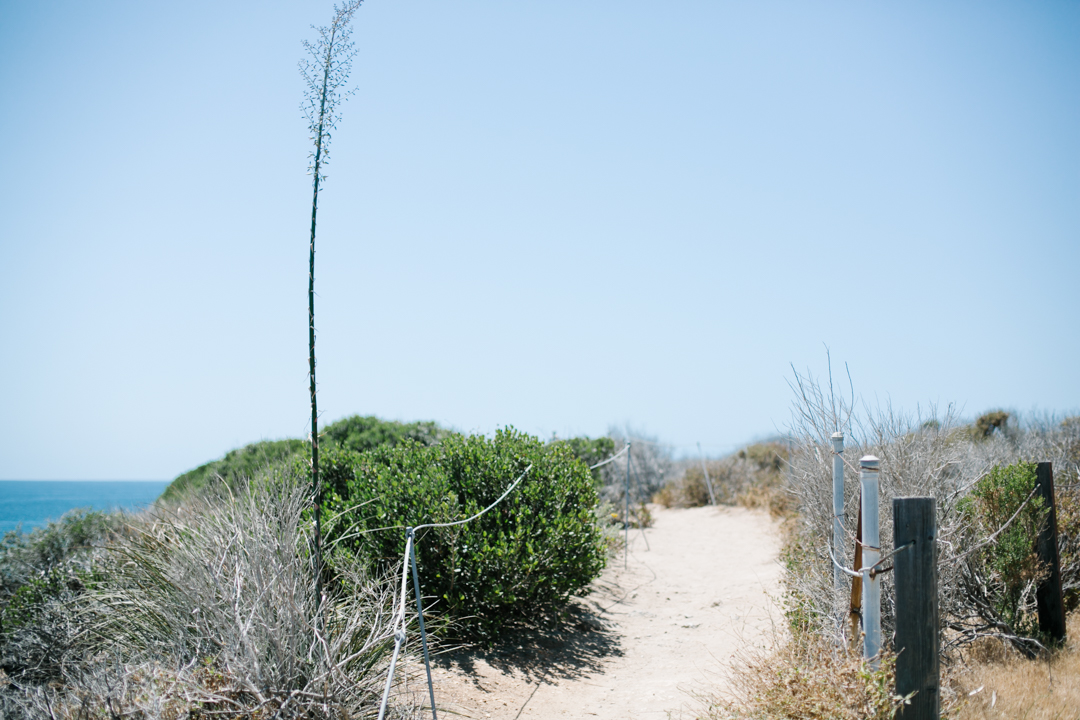 beach (blog) (56 of 60)