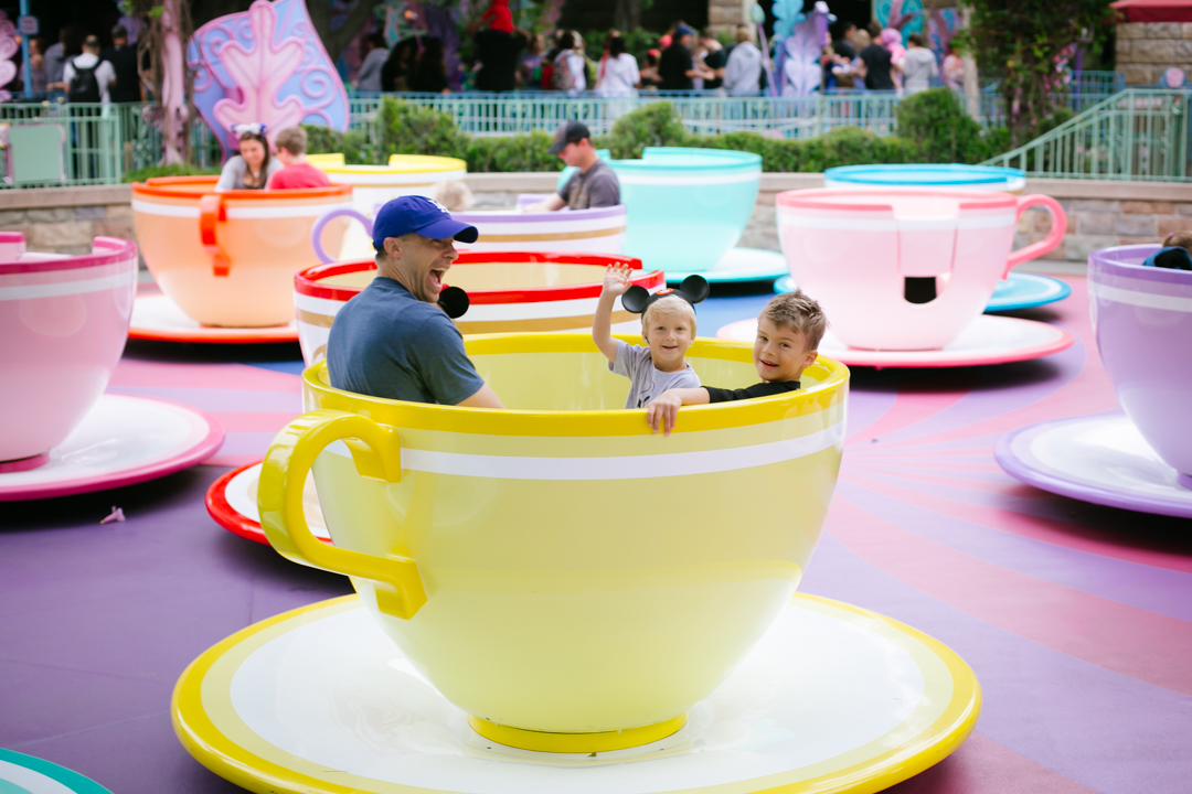 disneyland spring (blog) (6 of 154)