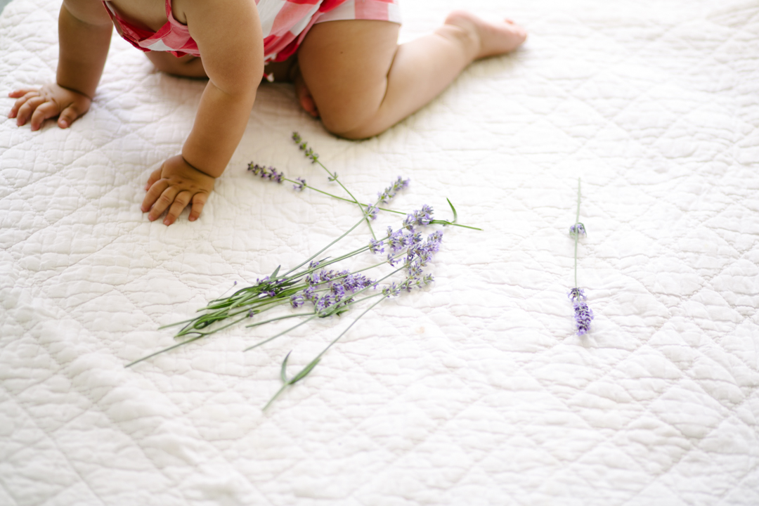 lavender (blog) (22 of 34)