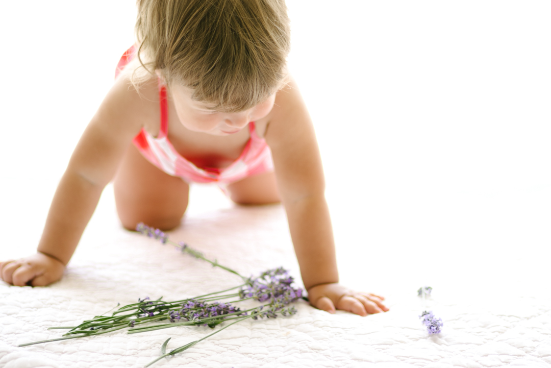 lavender (blog) (23 of 34)