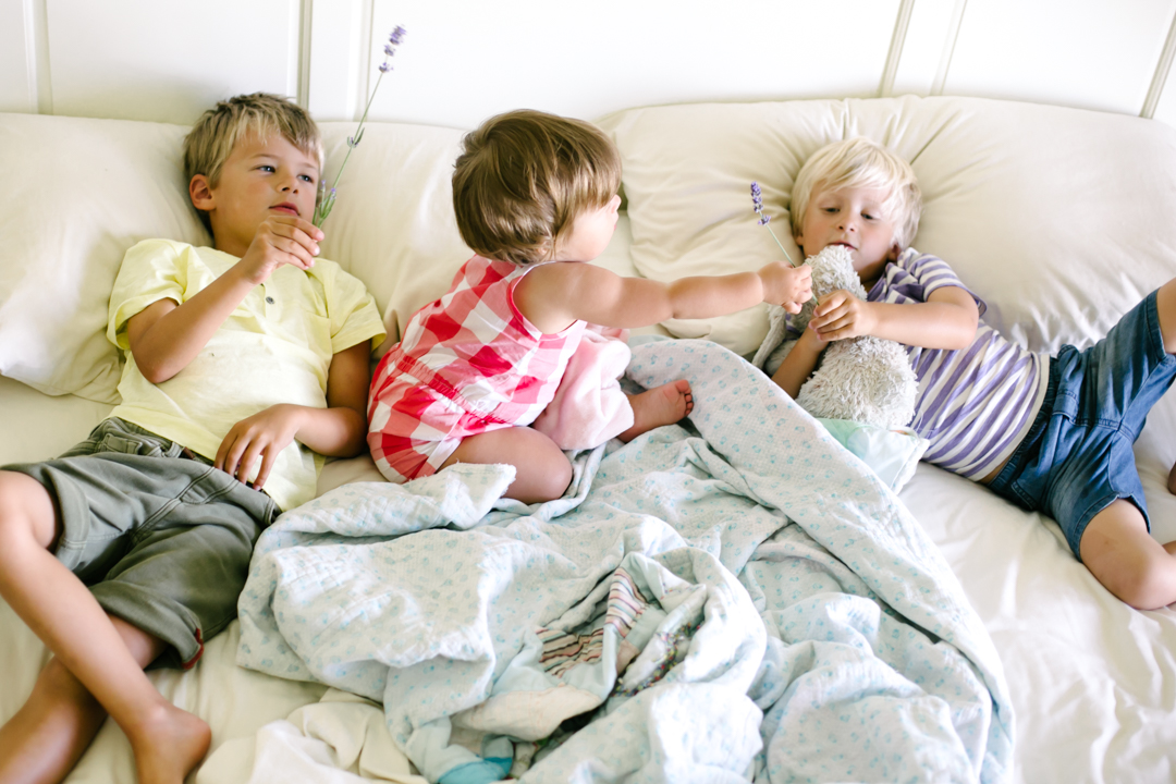 lavender (blog) (26 of 34)