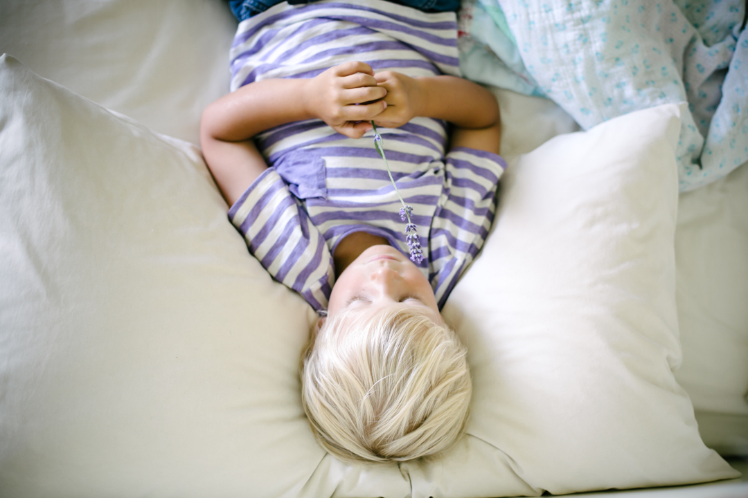 lavender (blog) (28 of 34)