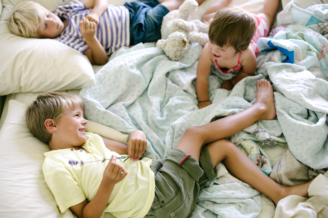 lavender (blog) (29 of 34)