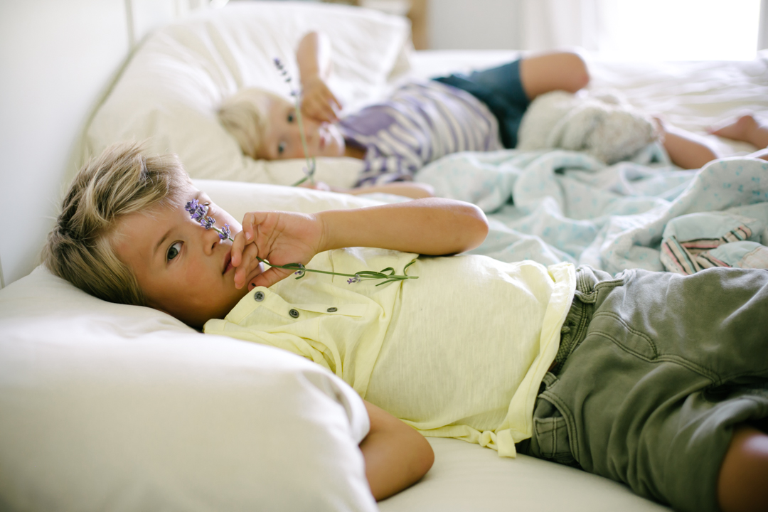 lavender (blog) (31 of 34)