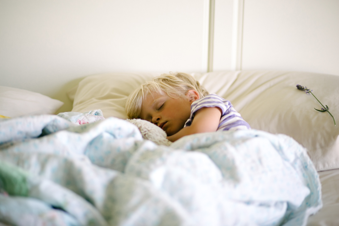 lavender (blog) (32 of 34)