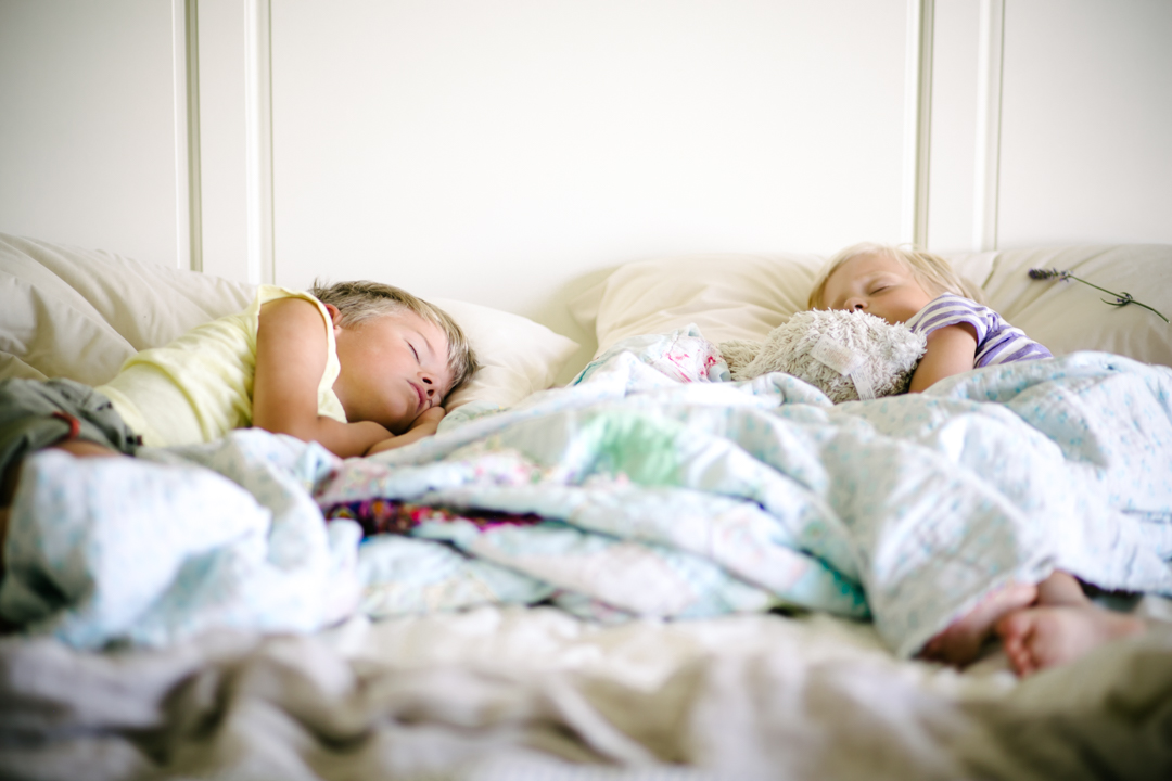 lavender (blog) (34 of 34)