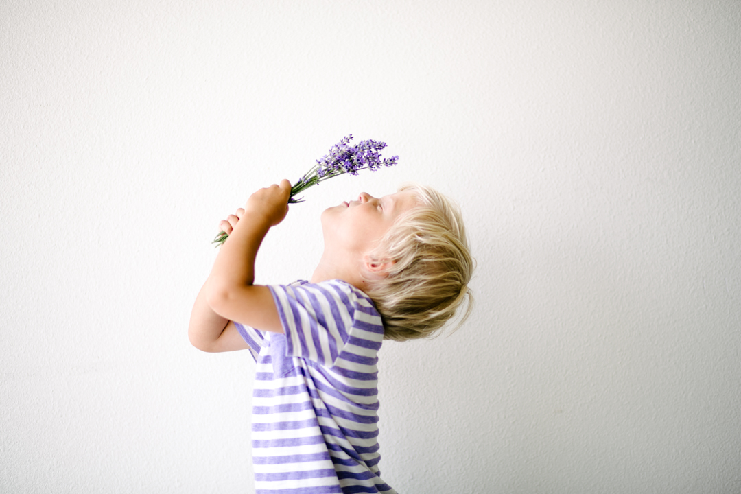 lavender (blog) (7 of 34)